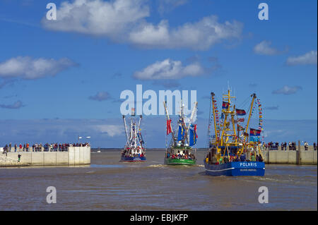 dekorierte Krabbenkutter links am Hafen, Deutschland, Niedersachsen, Neuharlingersiel Stockfoto