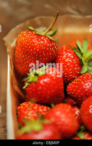 Erdbeeren, close-up Stockfoto