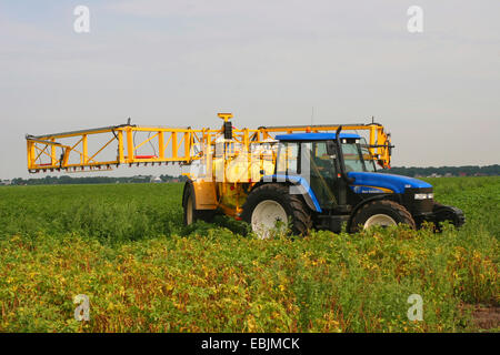 Traktor Spritzen Chemikalien auf Kartoffelacker, Deutschland Stockfoto