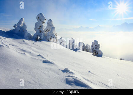 Panoramablick vom Schnee bedeckten Niederhorn, Schweiz, Berner Oberland, Berner Alpen Stockfoto