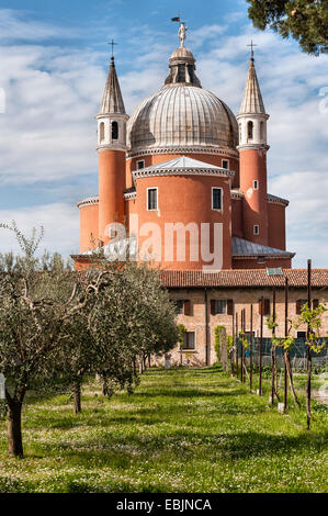 Der Weinberg im Garten des Kapuzinerklosters Il Redentore aus dem 16. Jahrhundert (entworfen von Andrea Palladio) auf der Insel Giudecca in Venedig, Italien Stockfoto