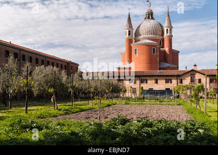 Der Weinberg im Garten des Kapuzinerklosters Il Redentore aus dem 16. Jahrhundert (entworfen von Andrea Palladio) auf der Insel Giudecca in Venedig, Italien Stockfoto