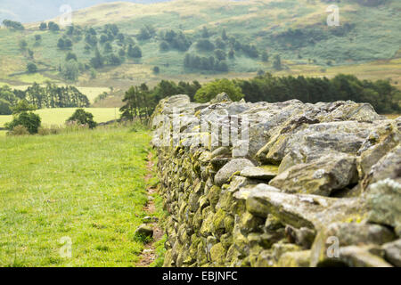 Steinmauer in Cumbria, England Stockfoto