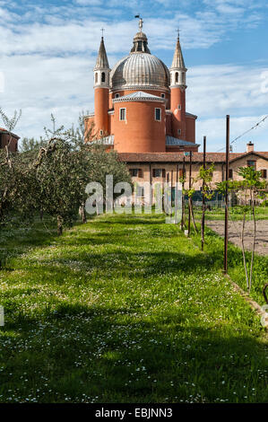 Der Weinberg im Garten des Kapuzinerklosters Il Redentore aus dem 16. Jahrhundert (entworfen von Andrea Palladio) auf der Insel Giudecca in Venedig, Italien Stockfoto