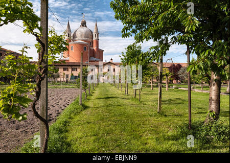 Der Weinberg im Garten des Kapuzinerklosters Il Redentore aus dem 16. Jahrhundert (entworfen von Andrea Palladio) auf der Insel Giudecca in Venedig, Italien Stockfoto