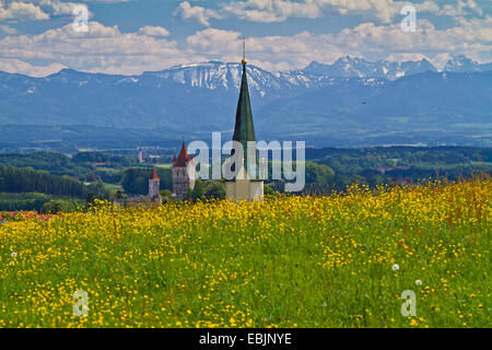 Alpenvorland, Blick über Blume Maedow, Kirche und Burg, Alpen, Deutschland, Bayern, Haag Stockfoto