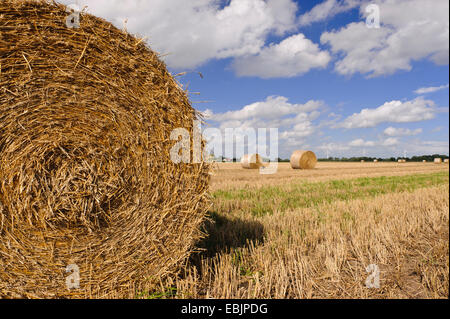 Rundballen Stroh auf einem abgeernteten Feld, Deutschland, Niedersachsen Stockfoto