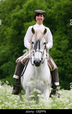 Andalusische Pferd (Equus Przewalskii F. Caballus), Doma Vaquera Stockfoto