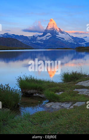 Matterhorn Spiegelung im See Stellisee bei Sonnenaufgang, Schweiz, Wallis Stockfoto