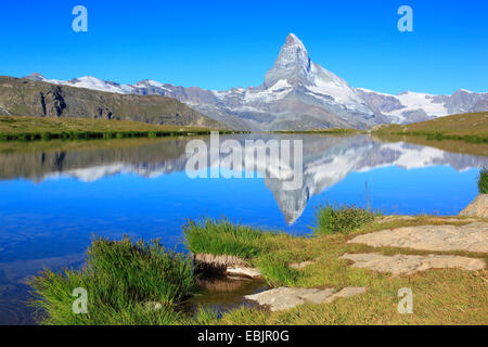 Matterhorn Spiegelung im See Stellisee, Schweiz, Wallis Stockfoto