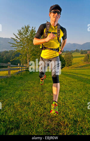 Trailrunning-junger Mann in einer Wiese und Wald Landschaft, Österreich, Steiermark, Dachstein Stockfoto