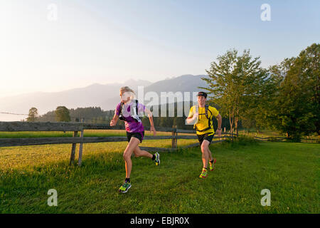 junges Paar Trailrunning in einer Wiese und Wald Landschaft, Österreich, Steiermark, Dachstein Stockfoto