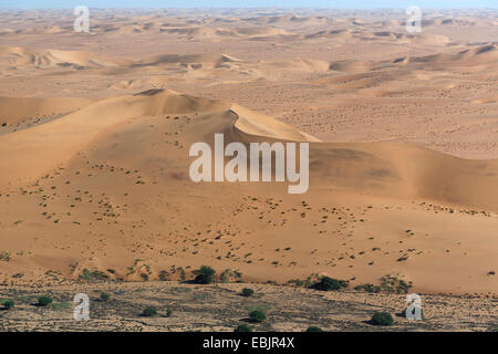 Luftaufnahme der Wüste Sanddünen, Namib-Wüste, Namibia Stockfoto