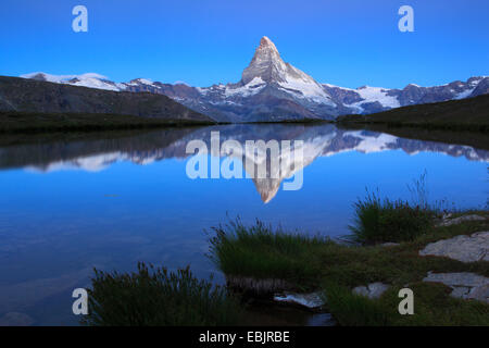 Matterhorn Spiegelung im See Stellisee, Schweiz, Wallis Stockfoto