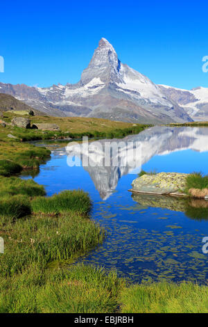 Matterhorn Spiegelung im See Stellisee, Schweiz, Wallis Stockfoto