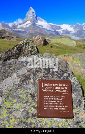 Platte mit Psalm auf Felsen, Matterhorn im Hintergrund, Schweiz, Wallis Stockfoto