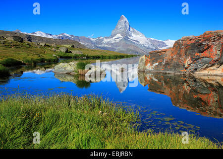 Matterhorn Spiegelung im See Stellisee, Schweiz, Wallis Stockfoto