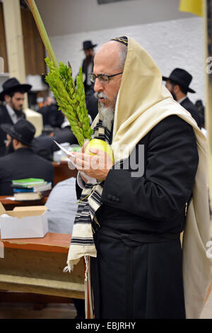 Religiösen jüdischen Mann beten mit Esrog und Lulv während des jüdischen Feiertages von Sukkot auf eine Synagoge in Brooklyn, New York. Stockfoto