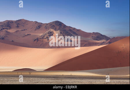 Blick auf riesige Sanddünen, Sossusvlei-Nationalpark, Namibia Stockfoto