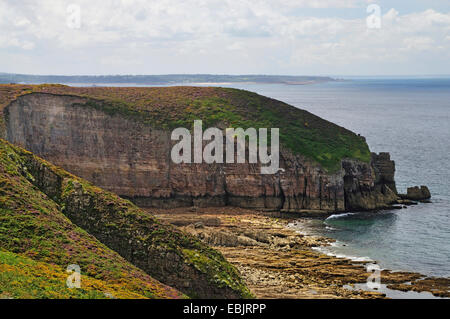 felsige Küste des Cap Frehel, Frankreich, Bretagne, Plevenon Stockfoto