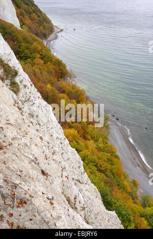 der auf Kreide-Küste über Ostsee, Deutschland, Mecklenburg Vorpommern, Jasmund National Park anzeigen Stockfoto