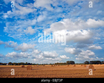 gemähten Feld mit Strohballen mit Windenergieanlage im Hintergrund, Deutschland, Niedersachsen Stockfoto