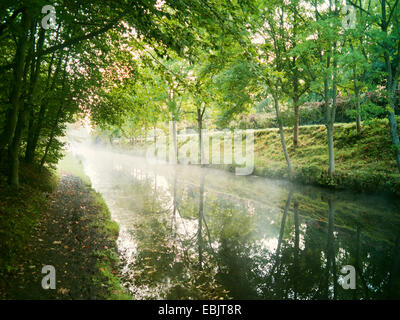 Nebel auf Royal Canal Morgen, Irland Stockfoto