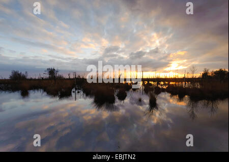 Moor Teich im Sonnenuntergang, Deutschland, Niedersachsen, Goldenstedter Moor, Diepholzer Moorniederung Stockfoto