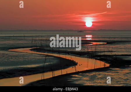 Kanal im Wattenmeer für Garnelen Trawler, Deutschland, Niedersachsen, Wremertief Stockfoto