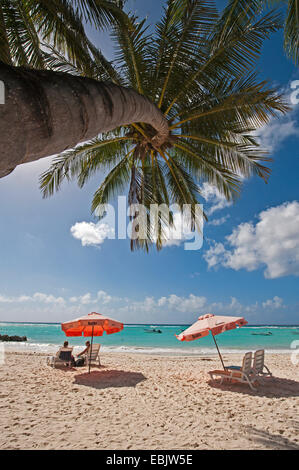 Personen, Sonnenbaden am Strand von Barbados, Barbados Stockfoto