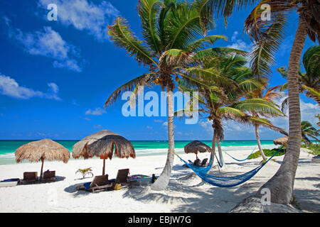 Liegestühle und Sonnenschirme am tropischen Strand, Mexiko, Tulum Stockfoto