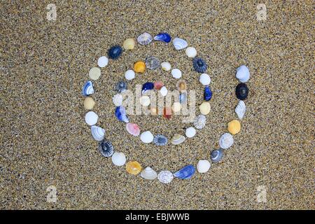 Konchen in Form einer Spirale am Sandstrand, Großbritannien, Schottland Stockfoto