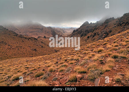 Landschaft im Nebel, Marokko, Souss-Massa-DaraÔ, Djebel Sarhro Stockfoto