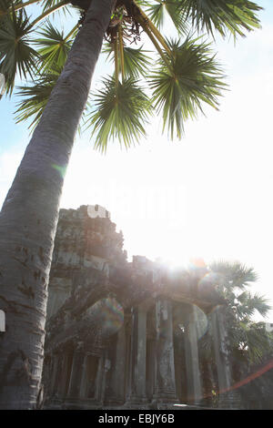 Eingang von Angkor Wat, Siem Reap, Kambodscha Stockfoto