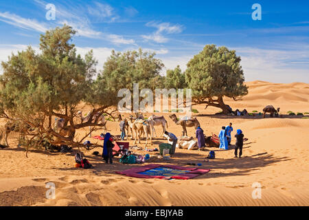 Ruhestätte von kameltreiber in der Wüste mit Zypressen, Marokko, Souss-Massa-DaraÔ; Region, Wueste Stockfoto