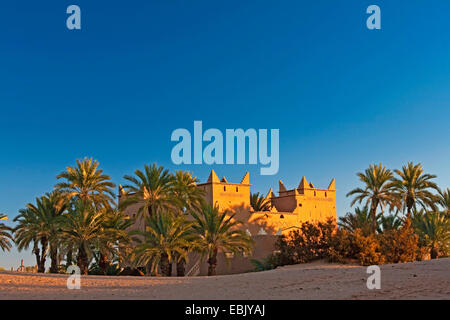 Dattelpalme (Phoenix dactylifera), Wüste Hotel in Mhamid Oase im Morgenlicht, Marokko, Souss-Massa-DaraÔ, Mhamid el Ghizlane Stockfoto