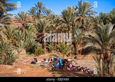 Dattelpalme (Phoenix dactylifera), einheimische Frauen waschen Wäsche in einer Palm Oasis, Marokko, Souss-Massa-DaraÔ; Region, Halbwueste Stockfoto