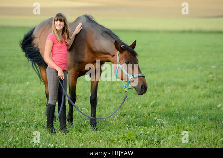 Hannoveraner Pferd, deutsches Warmblut (Equus Przewalskii F. Caballus), junges Mädchen mit Pferd auf einer Wiese, Deutschland Stockfoto