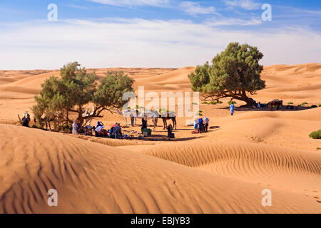 Ruhestätte von kameltreiber in der Wüste mit Zypressen, Marokko, Souss-Massa-DaraÔ; Region, Wueste Stockfoto