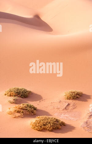 Sand dune, Marokko, Souss-Massa-DaraÔ, Erg Chegaga Stockfoto