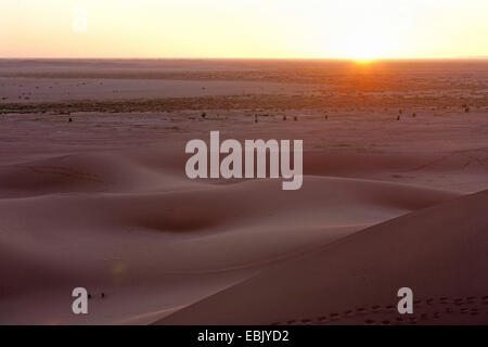 Sonnenaufgang in der Wüste, Marokko, Souss-Massa-DaraÔ, Erg Chegaga Stockfoto