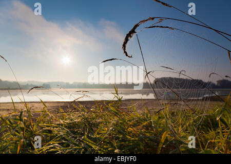 Spinnennetz am Seeufer von Poehl Stausee bei Sonnenaufgang, Jocketa, Vogtland, Sachsen, Deutschland Stockfoto