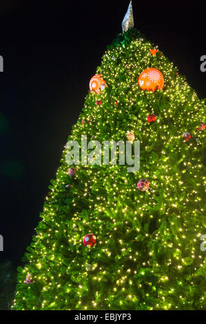 Weihnachtsbaum in der oberen Ansicht Stockfoto