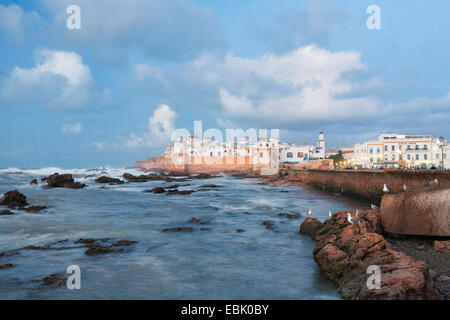 Blick auf die Stadt in Höhe der Gezeiten, Marokko Essaouira Stockfoto