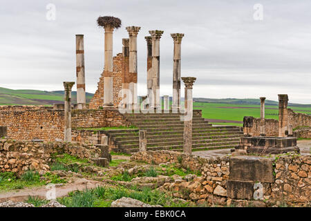 Archäologische Stätte Volubilis (Walili), Capitol, Marokko, MeknÞs Stockfoto