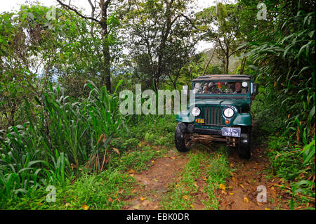 Jeep fahren durch tropischen Regenwald, Sri Lanka, Sinharaja Forest National Park Stockfoto