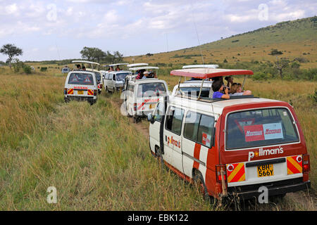 Touristen in Bussen beobachten Tiere in Masai Mara, Kenia, Masai Mara Nationalpark Stockfoto