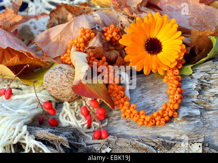 Handgemachte Glas Perlen Halskette (Armband) auf Herbst-Stil Hintergrund Stockfoto