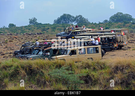 Touristen in Bussen beobachten Tiere in der Masai Mara, erwartet Gnu Migration, Kenia, Masai Mara Nationalpark Stockfoto