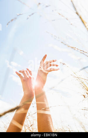 Junge Womans Hände unter langen Rasen Stockfoto